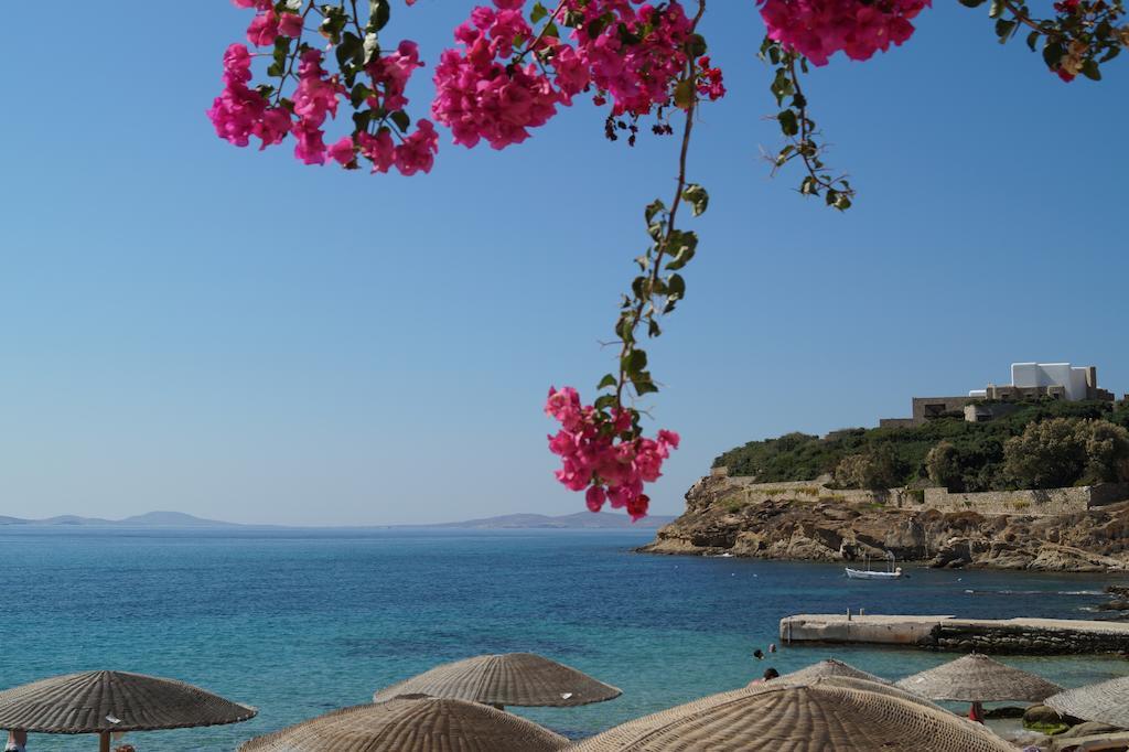 Amazing View Hotel Apartments Агиос-Стефанос Экстерьер фото